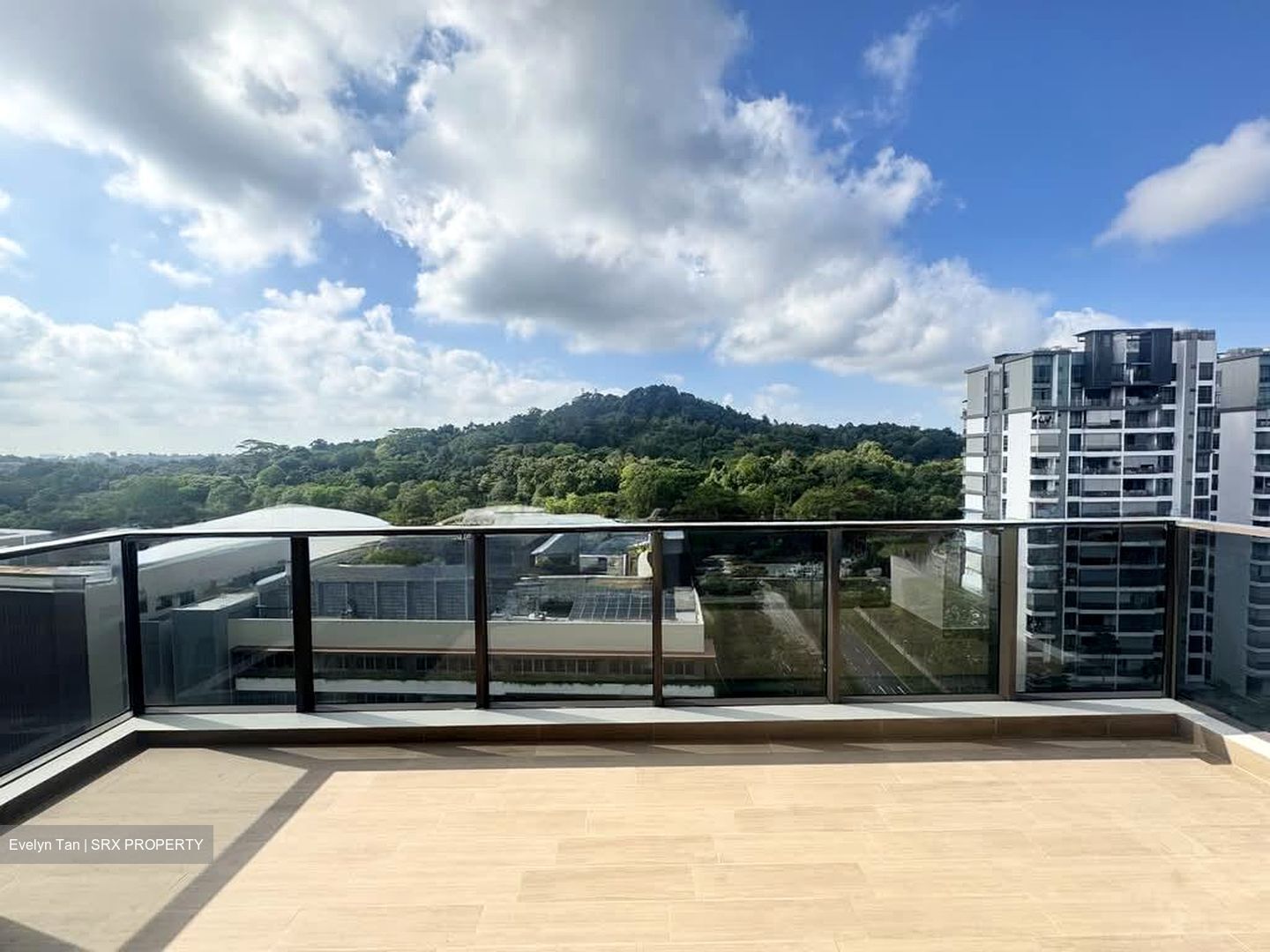 The Botany At Dairy Farm (D23), Condominium #537889891